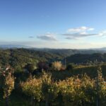 Pogled iz Vinograda Zdolc na Zagorje