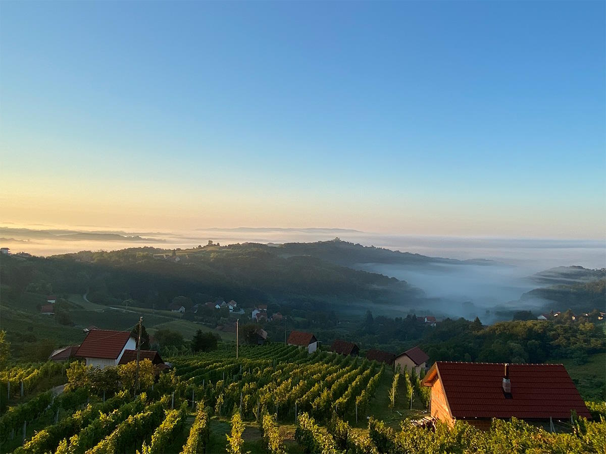 U zagrebačkoj Laubi održava se 2. festival Bregovite Hrvatske 20. listopada 2023. na kojem će se prezentirati ekološka vina vinarije Zdolc
