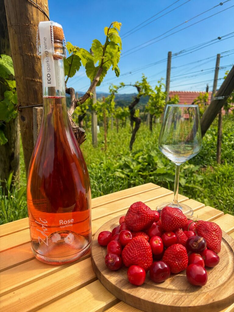 Vina Zdolc rose pjenušac je zavodljivo ljetno vino od sorte Merlot proizveden Charmat metodom