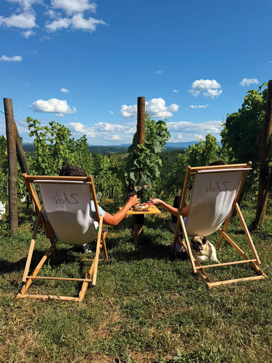 Ljetne posjete vinariji Zdolc posebna su prilika za uživanje u predivnom pogledu i našim vinogradima - čisti Midsummer hedonizam