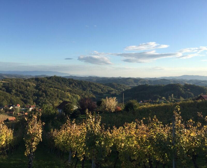 panorama-zdolc-vinogradi Pogled iz Vinograda Zdolc na Zagorje