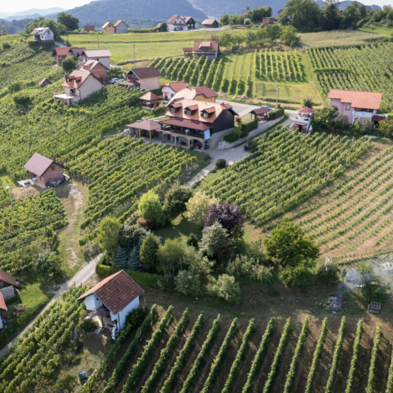 Pozicija naših vinograda omogućuju dobar mikroklimatski položaj